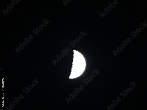 black cat on the moon
