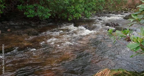 Scenic 4K video of Tollymore forest mountain stream and surroundings, Tollymore Forest park, Northern Ireland