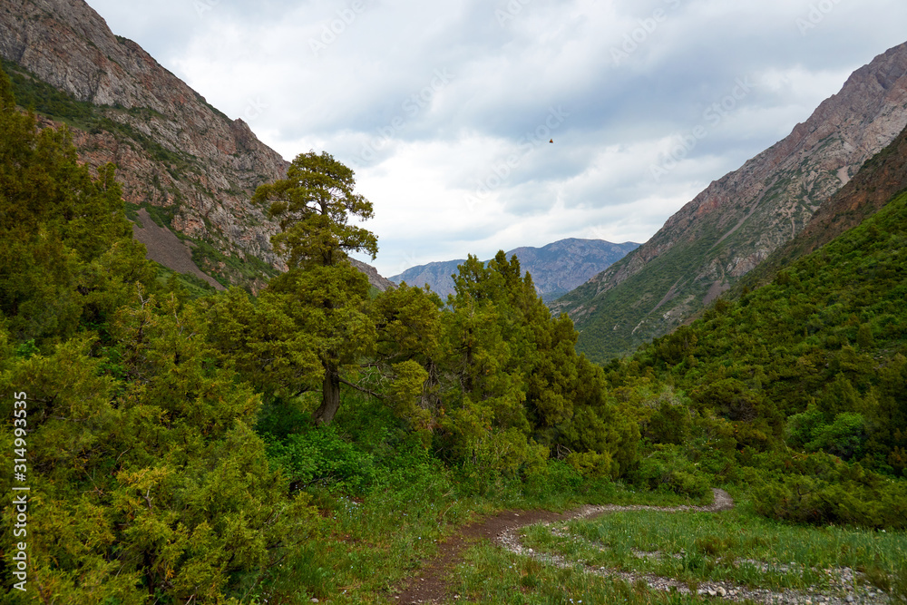 Nature Landscape of Sayram-Ugam National Park. Turkestan region. Kazakhstan. Sayram-Ugam National Park is in Western Tian Shan Mountains. Nature Landscape of Sayram-Ugam National Park. Turkestan region. Kazakhstan. Sayram-Ugam National Park is in Western Tian Shan Mountains.