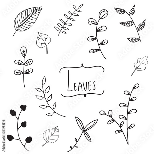 Leaves doodle hand-drawn set
