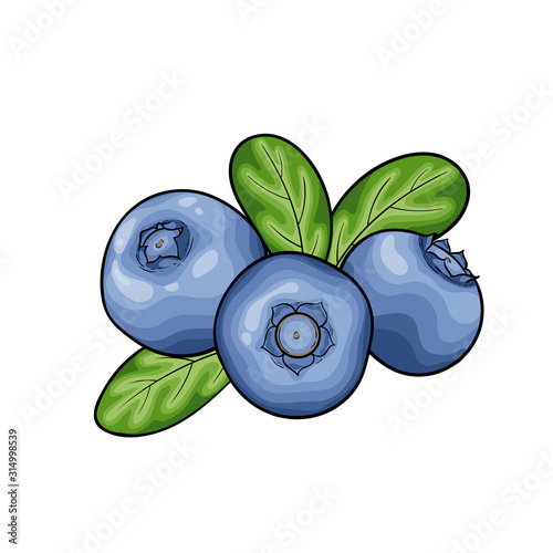 Beautiful cartoon red blueberry with black contour, symbol of summer. design for holiday greeting card and invitation of seasonal summer holidays, beach parties, tourism and travel