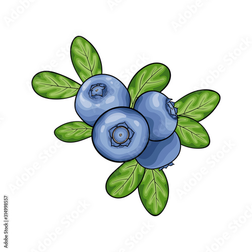 Beautiful cartoon red blueberry with black contour, symbol of summer. design for holiday greeting card and invitation of seasonal summer holidays, beach parties, tourism and travel
