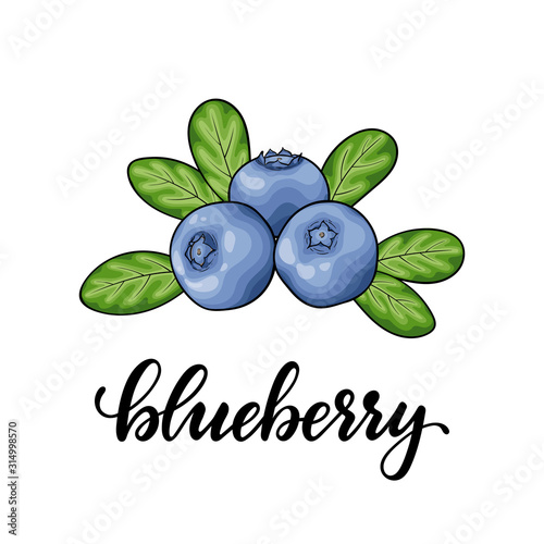 Beautiful cartoon red blueberry with lettering word blueberry, symbol of summer. design for holiday greeting card and invitation of seasonal summer holidays, beach parties, tourism and travel