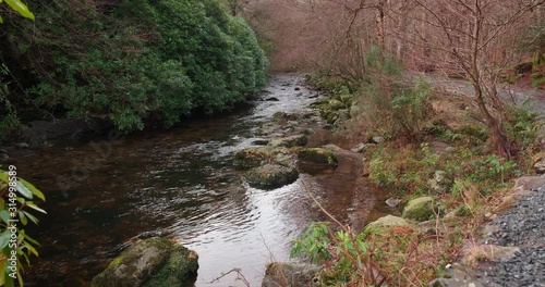 Scenic 4K video of Tollymore forest mountain stream and surroundings, Tollymore Forest park, Northern Ireland