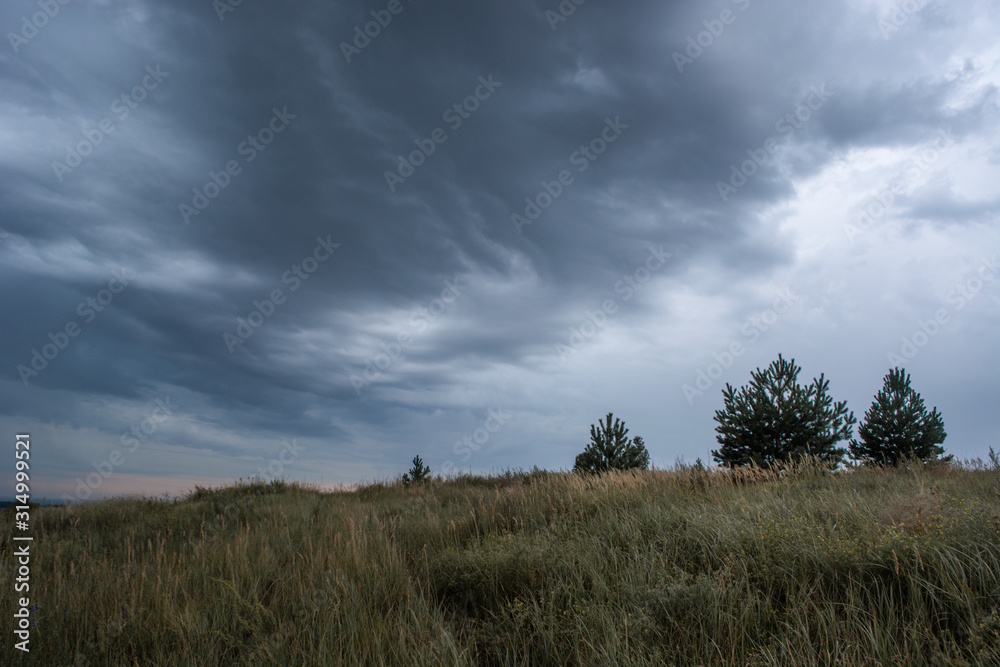 a cloudy dark blue sky over a field with a barely visible road overgrown with thick grass a cloudy dark blue sky over a field with a barely visible road overgrown with thick grass