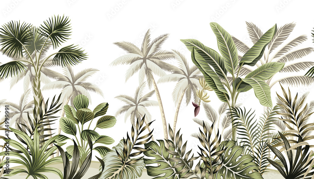Tropical vintage botanical landscape, palm tree, banana tree, plant floral seamless border white background. Exotic green jungle wallpaper. - obrazy, fototapety, plakaty 
