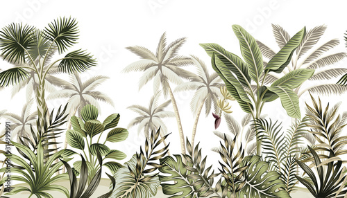 Fotografiet Tropical vintage botanical landscape, palm tree, banana tree, plant floral seamless border white background