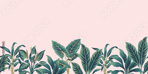 Tropical vintage plants floral botanical seamless border pink background. Exotic jungle wallpaper.