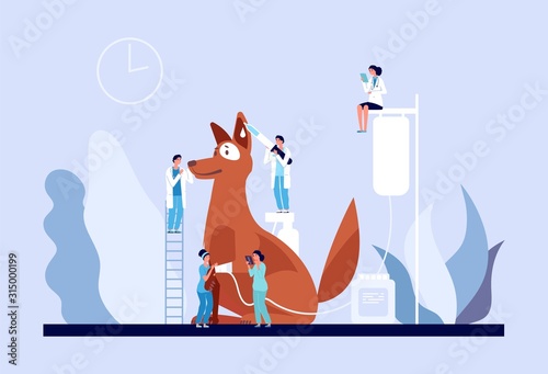 Veterinary concept. Veterinarian clinic, tiny doctors caring puppy. Vet services for pets, medical care for dog vector illustration. Dog visit veterinary veterinarian specialist examination photo