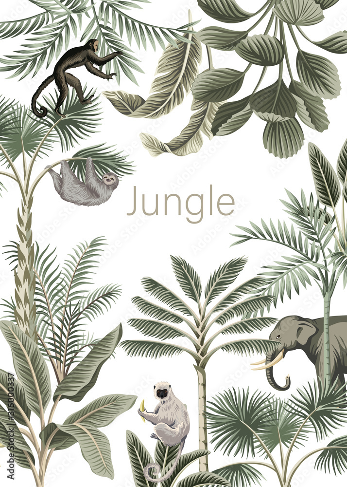 Tropical jungle slogan palm leaves, banana tree, monkey, elephant, sloth wild animal vintage floral illustration. Exotic frame card.