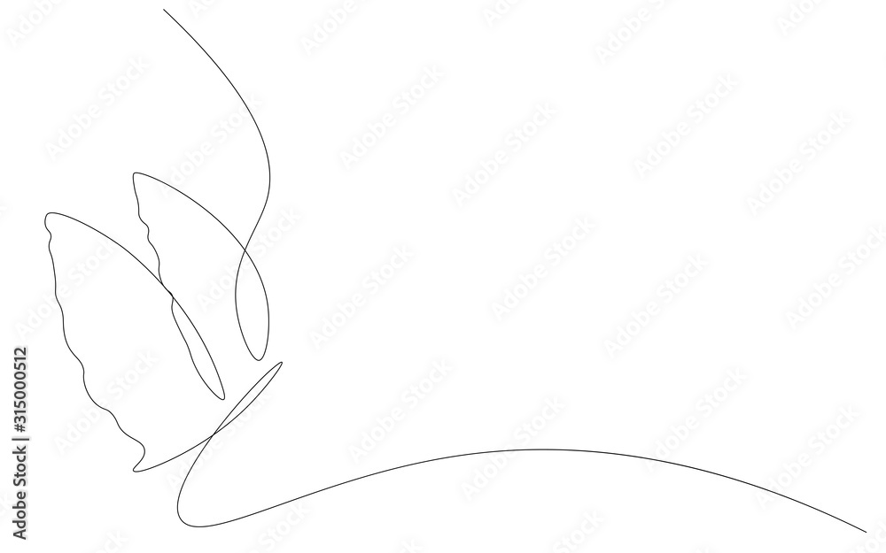 Butterfly line drawing vector illustration Butterfly line drawing vector illustration