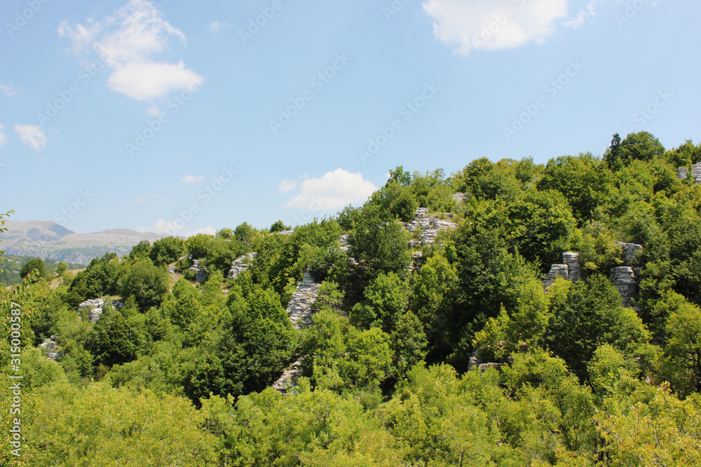 Fototapeta premium Stone forest natural rock formation Monodendri Zagori Greece