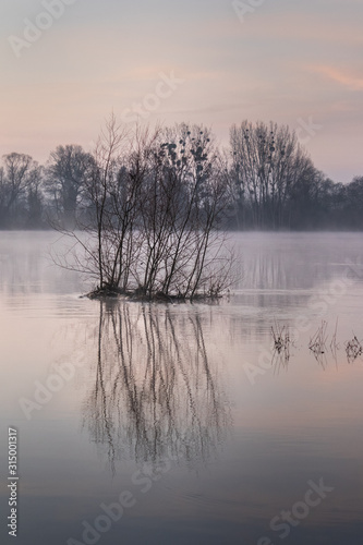 La Loire au matin