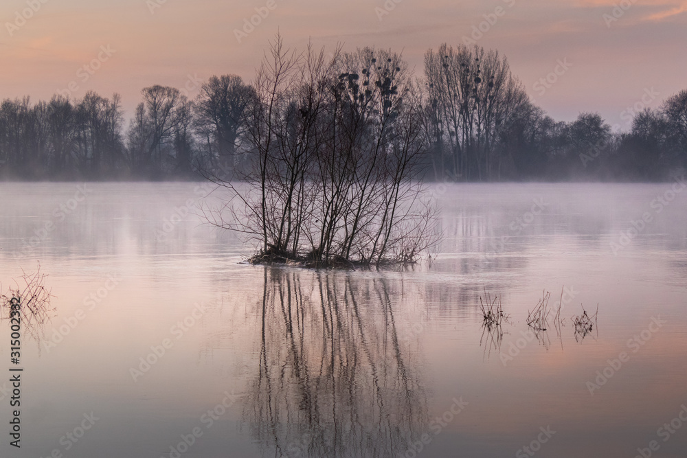 Fototapeta La Loire au matin