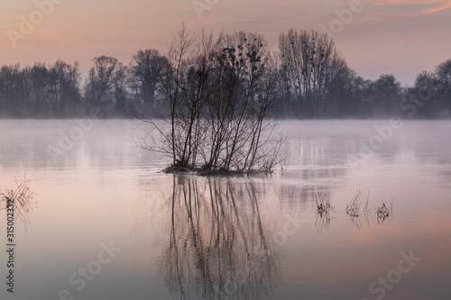 La Loire au matin