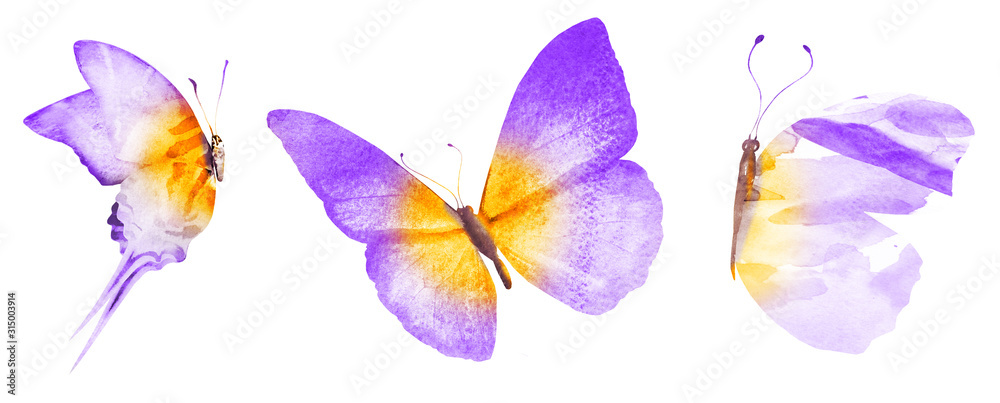 Three watercolor butterflies, isolated on white background Three watercolor butterflies, isolated on white background