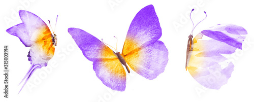 Three watercolor butterflies, isolated on white background © suns07butterfly