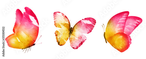 Fototapeta Naklejka Na Ścianę i Meble -  Three watercolor butterflies, isolated on white background