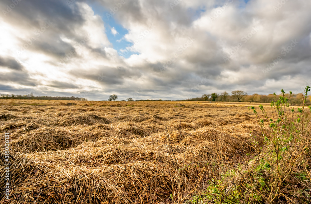 Arable field in the countryside of rural Norfolk