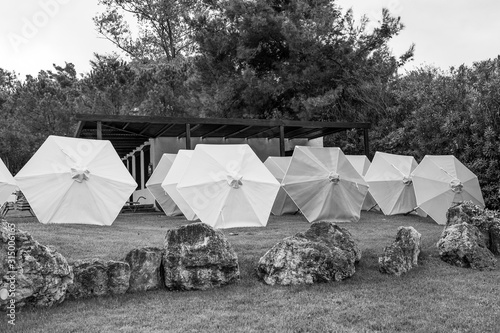 Many opened beach umbrellas laying on green grass of lawn of hotel resort. Black and white colors photography. photo