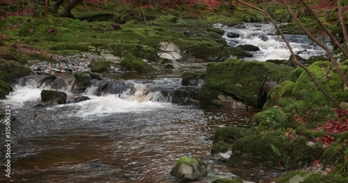 Scenic 4K video of Tollymore forest mountain stream and surroundings, Tollymore Forest park, Northern Ireland photo