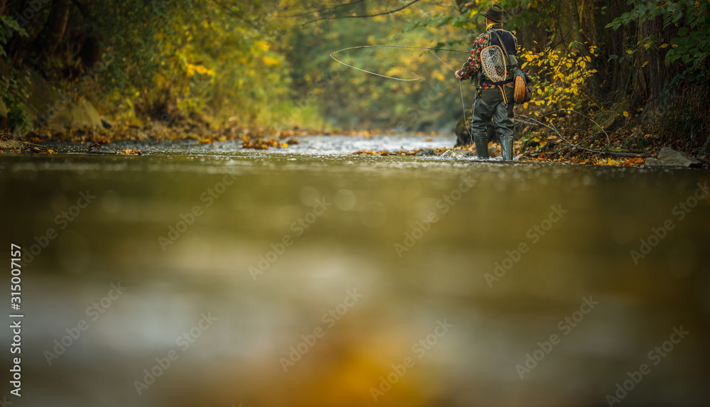 Fototapeta premium Close-up view of the hands of a fly fisherman holding a lovely trout while fly fishing on a splendid mountain river