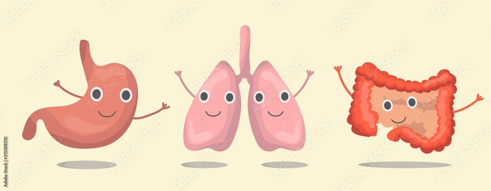 The set internal organs  stomach, lungs, intestines of the human body, smolders, waves its hands. Vector illustration in eps10, graphic design. Colorful icon