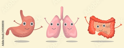 The set internal organs  stomach, lungs, intestines of the human body, smolders, waves its hands. Vector illustration in eps10, graphic design. Colorful icon