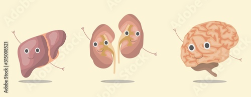 The set internal organs liver  kidneys  brain of the human body  smolders  waves its hands. Vector illustration in eps10  graphic design. Colorful icon