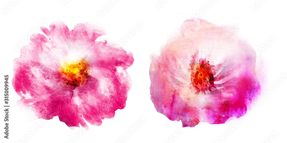 Naklejka Watercolor flowers , isolated on white background