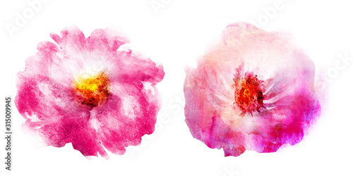 Fototapeta Naklejka Na Ścianę i Meble -  Watercolor flowers , isolated on white background