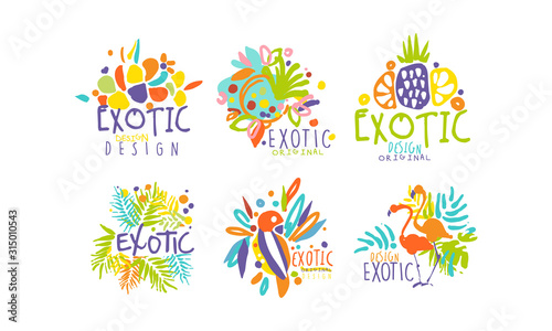 Exotic Original Design Labels Collection, Colorful Hand Drawn Badges Vector Illustration