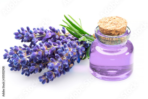 Bunch of lavandula and lavender essential oil on white background.