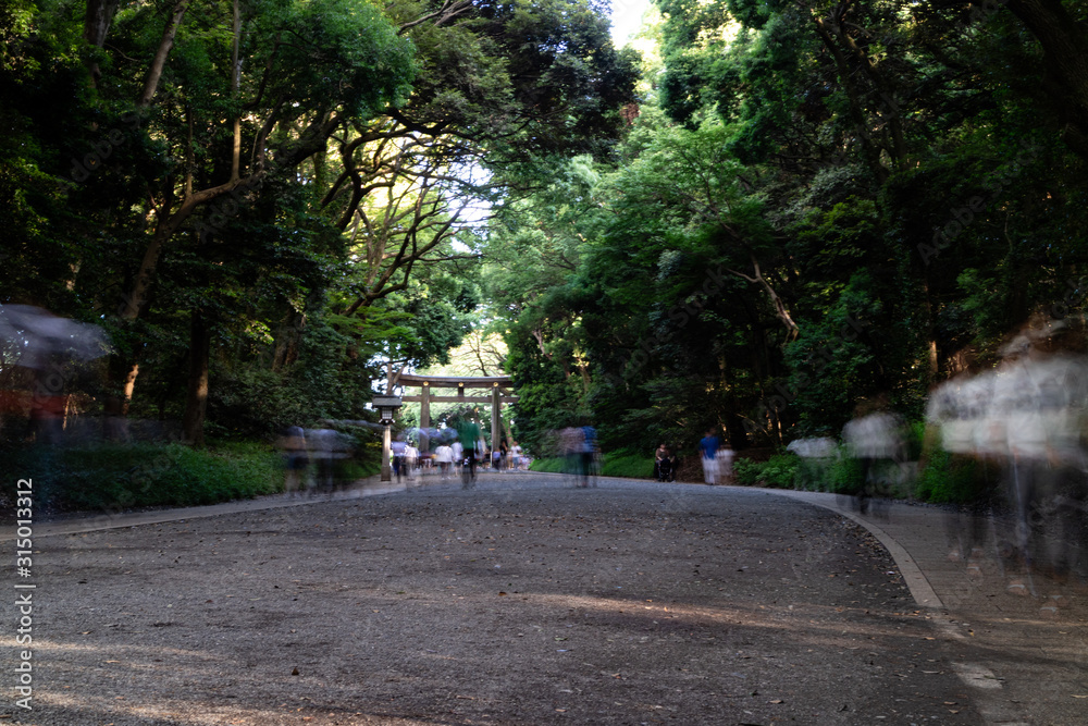 People walking through Meiji Jingu Shrine during the day People walking through Meiji Jingu Shrine during the day