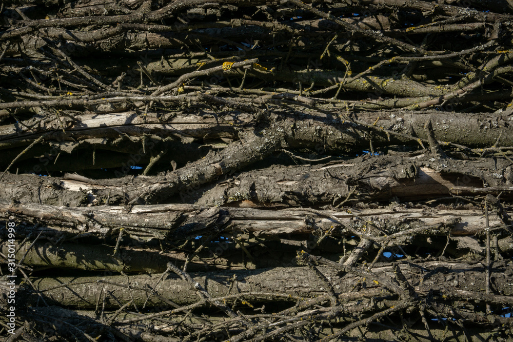 Old wooden wall background. Old wooden wall background.