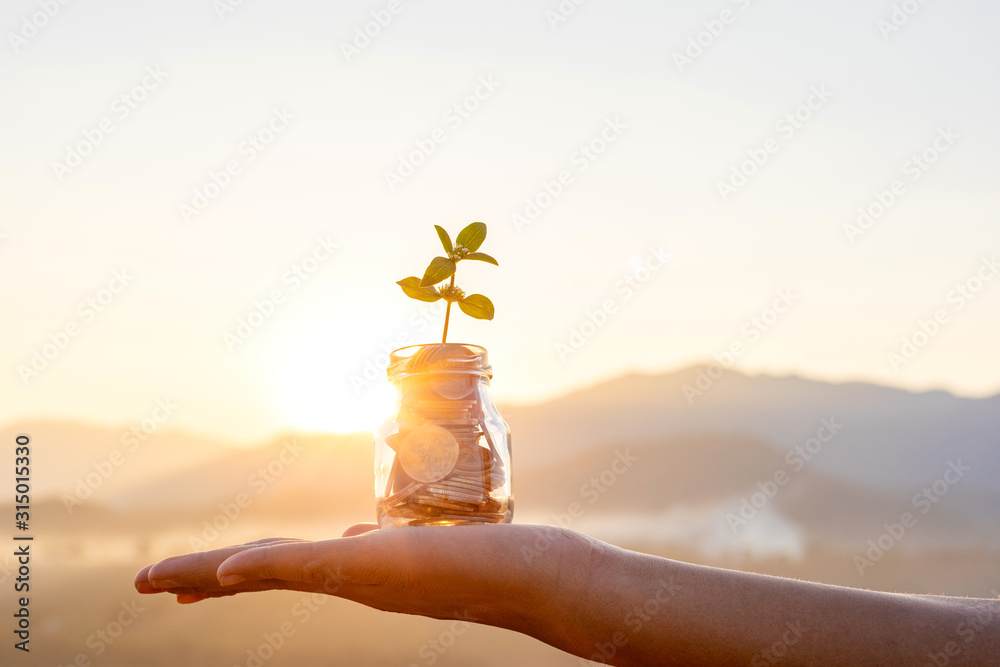 Human hands holding plant growing from coins in the glass jar on blurred green natural background with sun light effect and copy space for business and financial growth concept