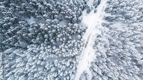 Country Lane Road in Winter Snowy Forest, Top Down Aerial View © marcin jucha