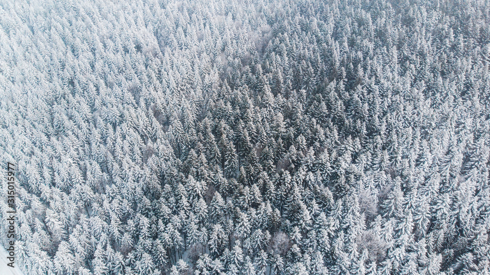 Abstract Winter Wonderland. Pine Trees Snow Covered. Aerial Drone view - obrazy, fototapety, plakaty 