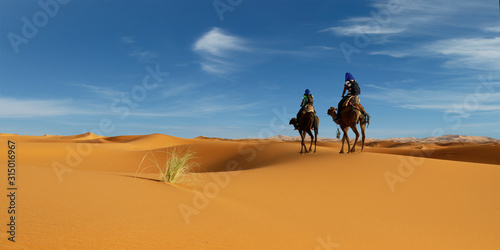 Caravan of camel in the sahara desert of Morocco 