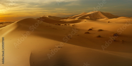 sunset on sand dune in the sahara desert 