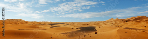 sand dune in the sahara desert 