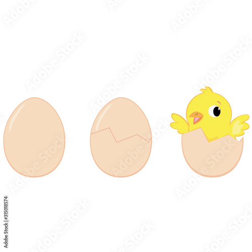 process of hatching a chicken from an egg