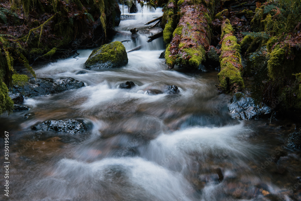 Forest stream flowing beside the trail in Munson Falls State Park, Southern Oregon, blurred, long exposure
