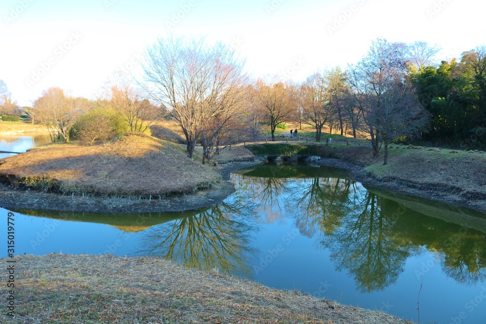 Obraz premium 冬 池 風景 空 茨城