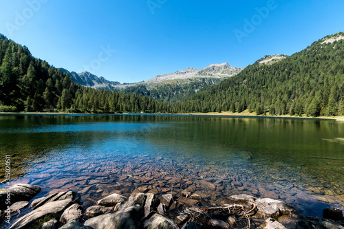 Trasparenze di lago