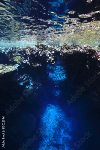 Underwater cave and coral reef