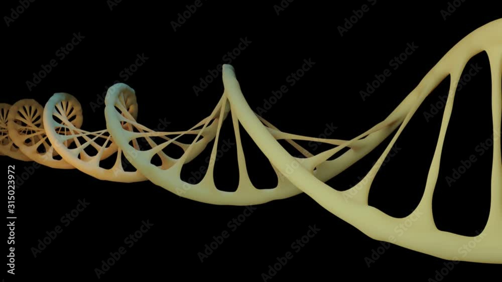 Dna Helix Loop Version2
