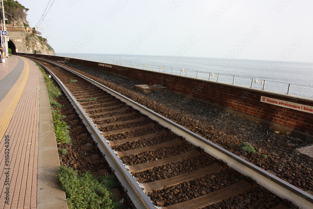 Obraz premium rusty tracks of a train transport path of a lonely railway where nobody is there