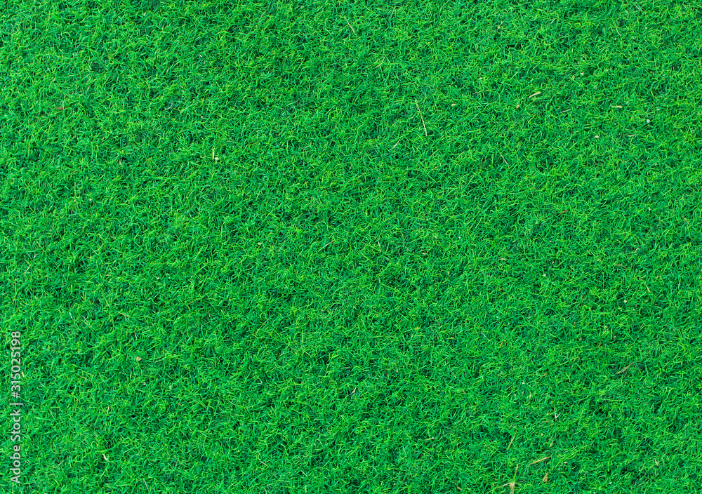 Green grass soccer field background.