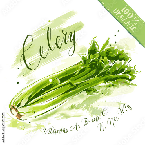 Organic health food for vegetarians and health care. Raw celery